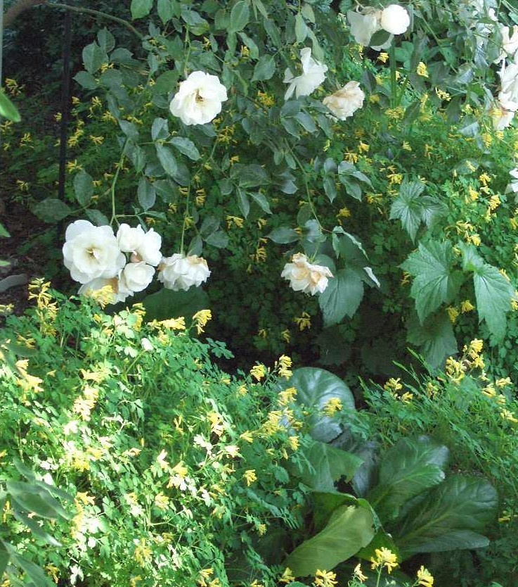 Garten Sonntag Grabpflege