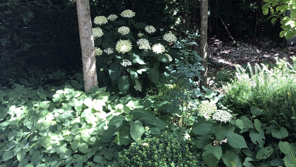 Garten Sonntag Grabpflege