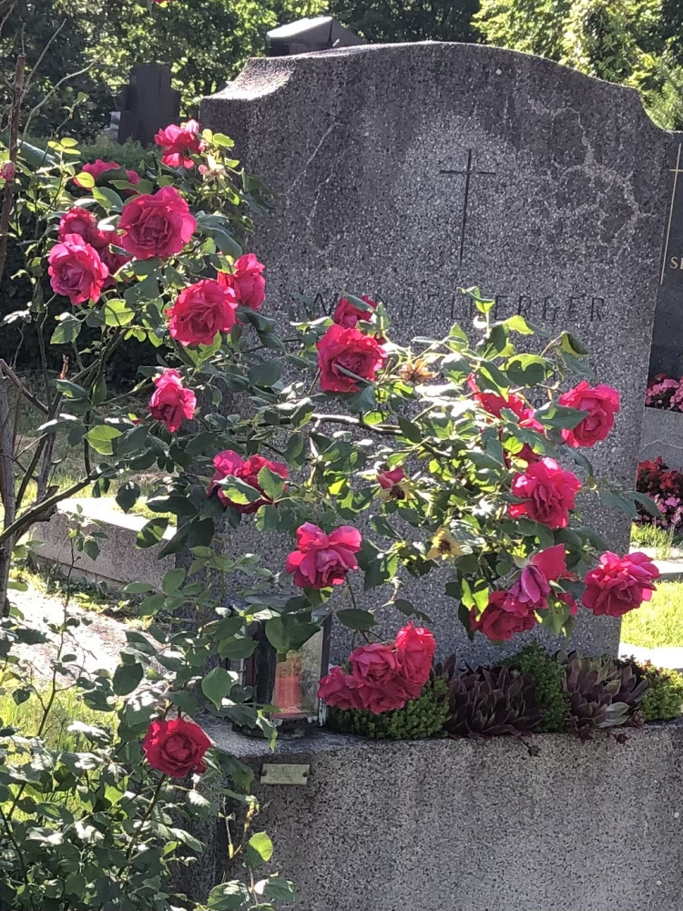Garten Sonntag Grabpflege