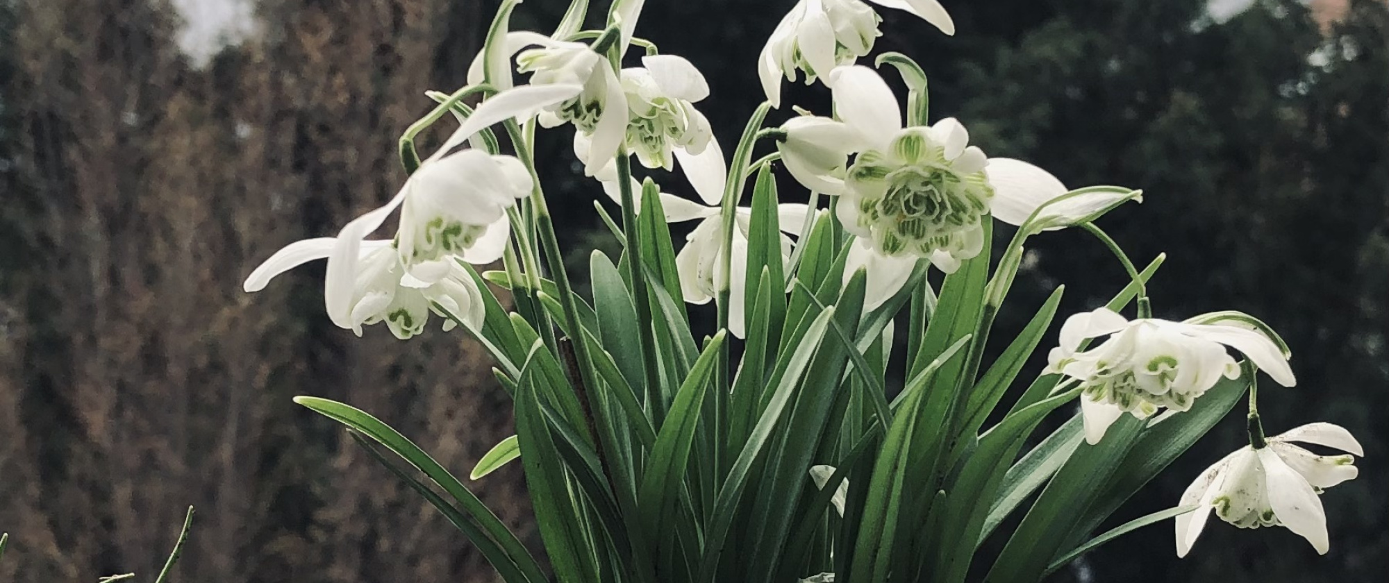 Das Andenken pflegen.